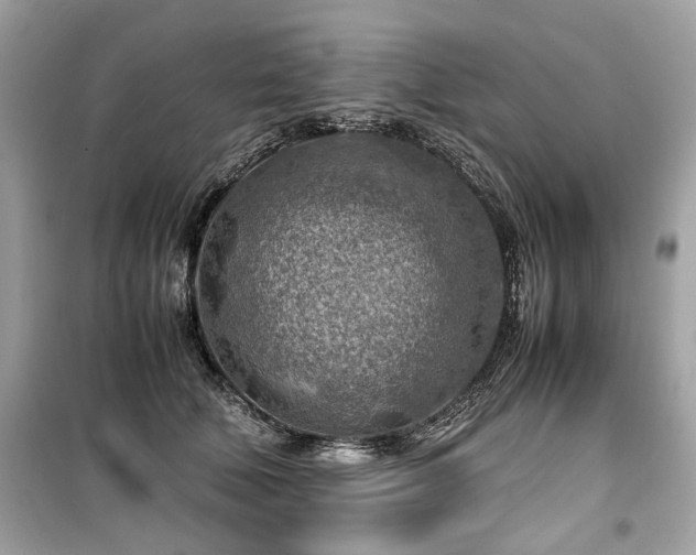 X0000099530610200805161213
