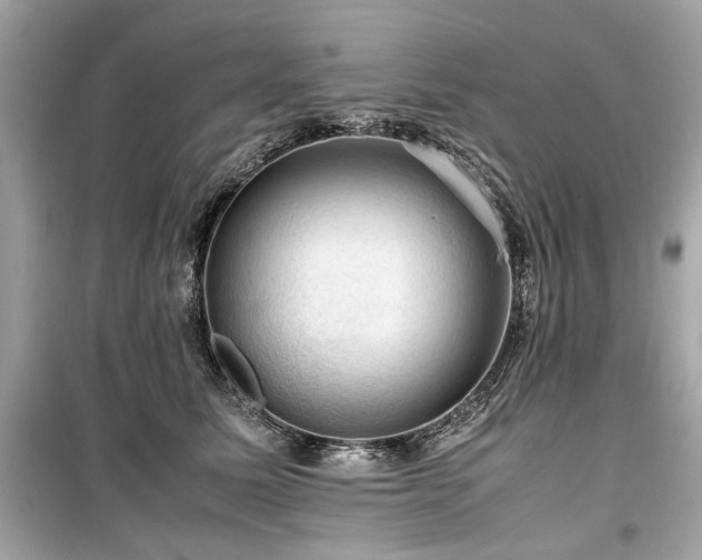 X0000099530611200805161213
