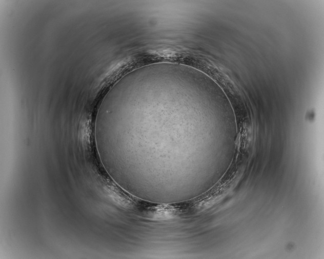 X0000099530612200805161213