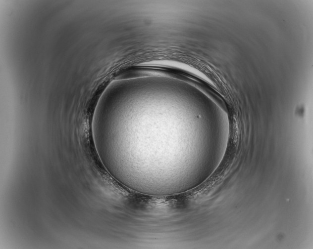 X0000099530613200805161213