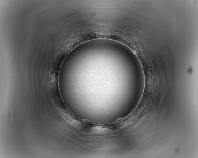 X0000099530614200805161213