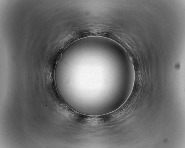 X0000099530615200805161213