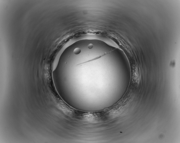 X0000099530616200805161213