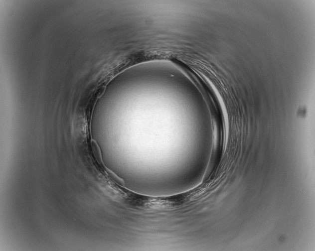 X0000099530617200805161213