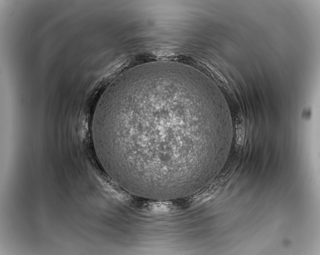 X0000099530618200805161213