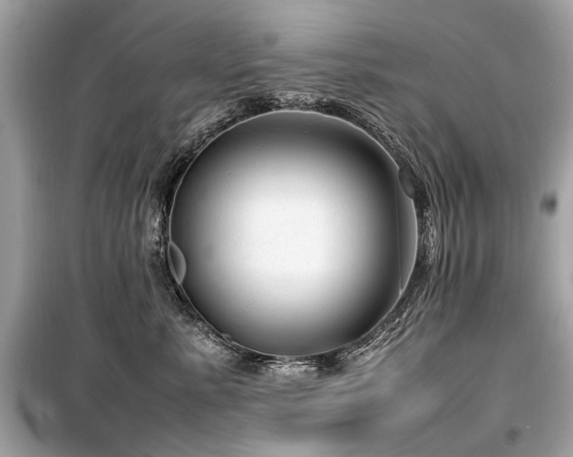 X0000099530619200805161213