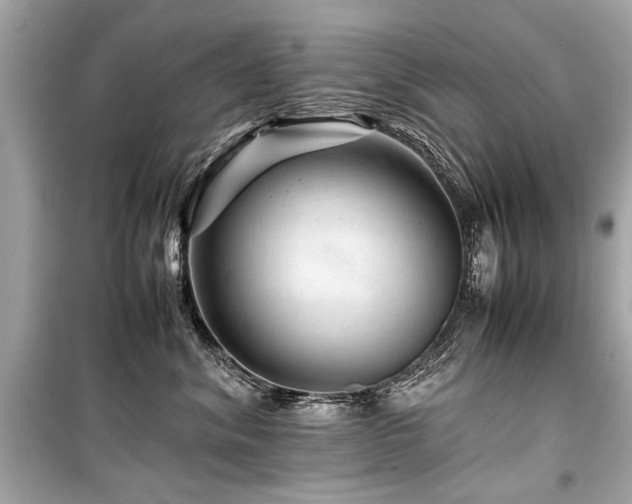 X0000099530620200805161213