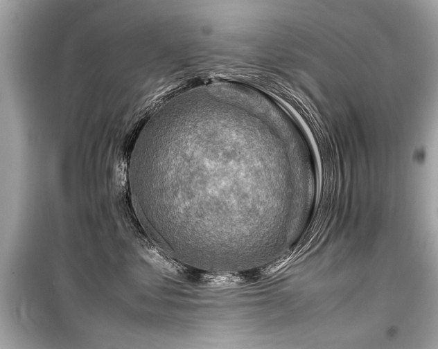 X0000099530621200805161213