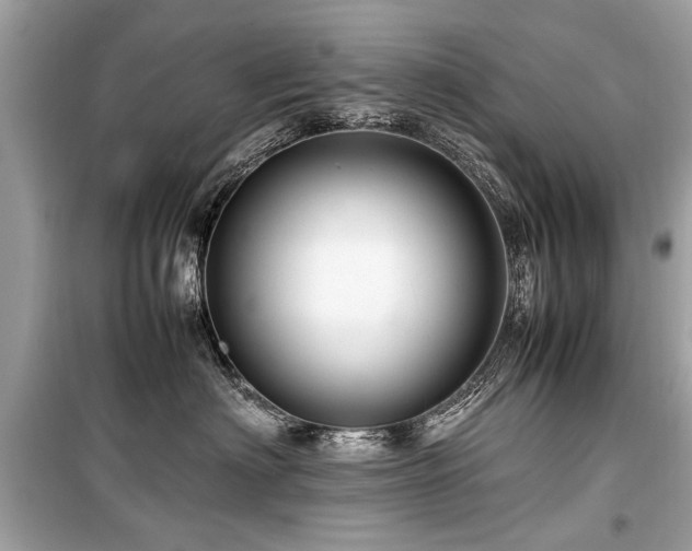 X0000099530622200805161213