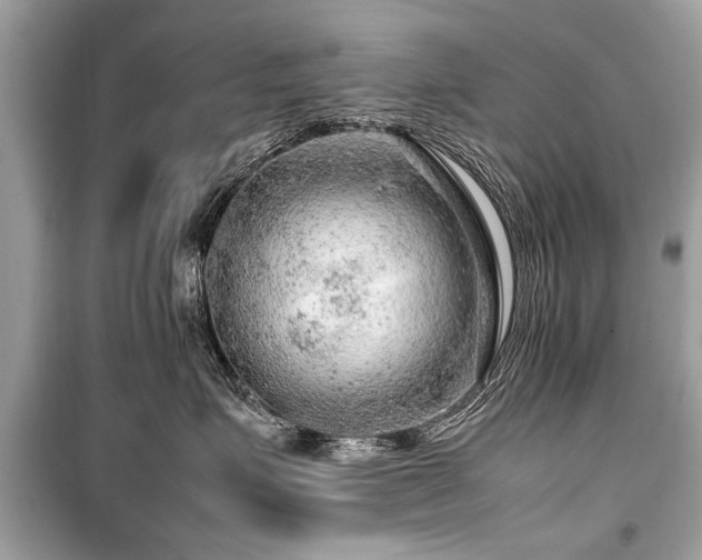 X0000099530623200805161213