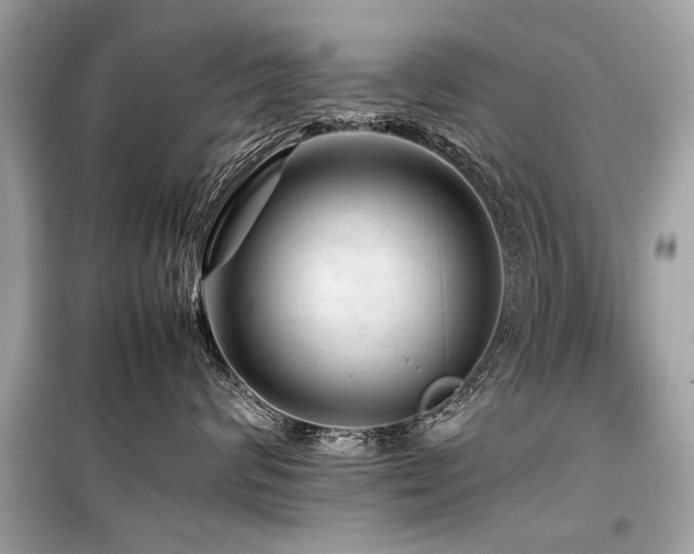 X0000099530624200805161213