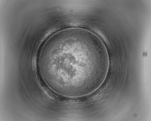 X0000099530626200805161212