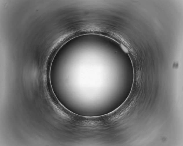 X0000099530629200805161212