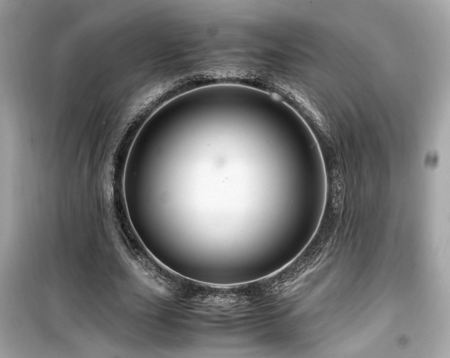 X0000099530631200805161212