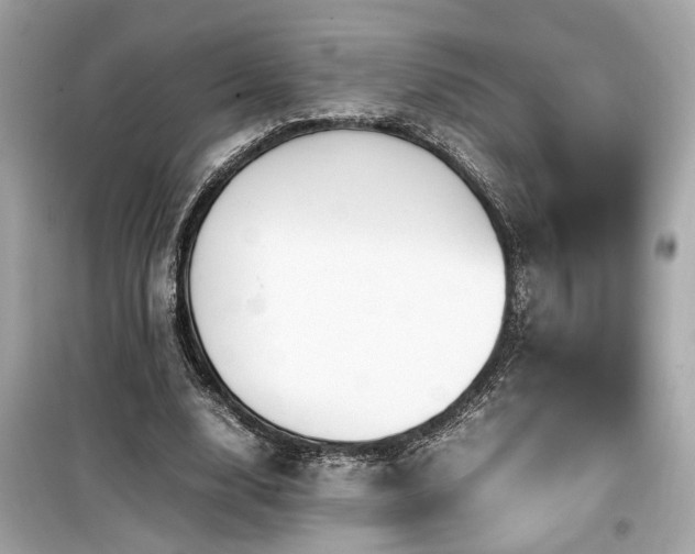 X0000099530632200805161212