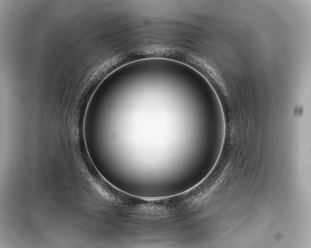X0000099530633200805161212