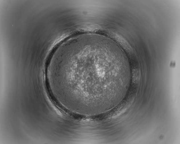 X0000099530634200805161212