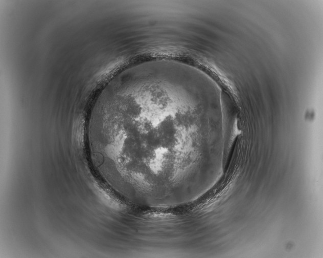 X0000099530637200805161212
