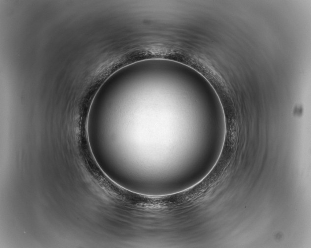 X0000099530639200805161212