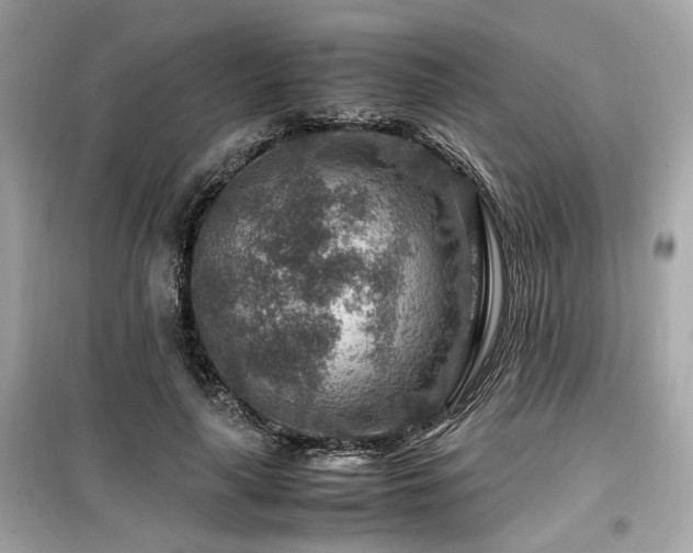 X0000099530643200805161212