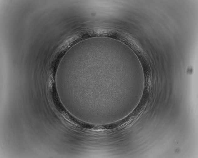 X0000099530644200805161212