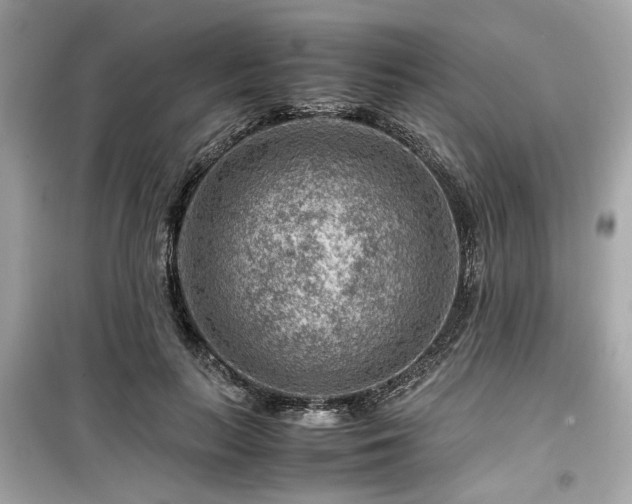 X0000099530647200805161213