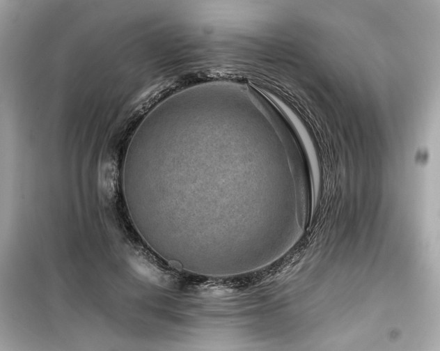 X0000099530648200805161213