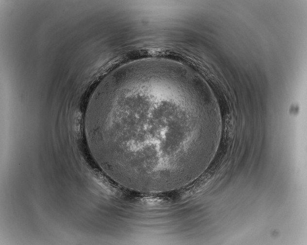 X0000099530650200805161213