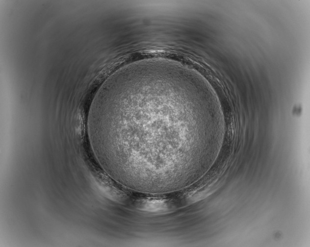 X0000099530651200805161213
