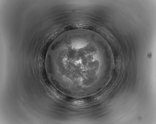 X0000099530653200805161213