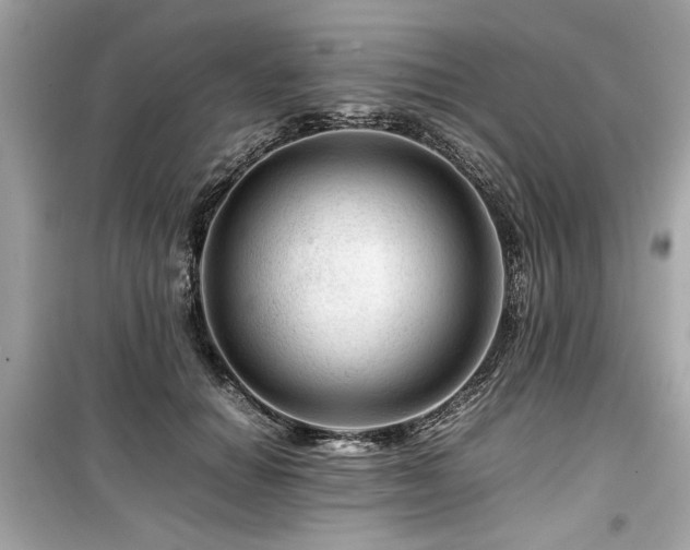 X0000099530654200805161213