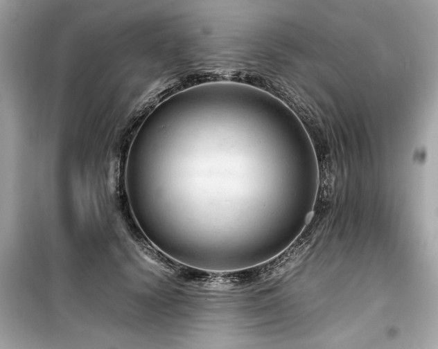 X0000099530656200805161213