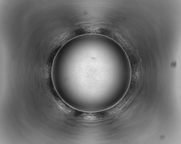 X0000099530658200805161213
