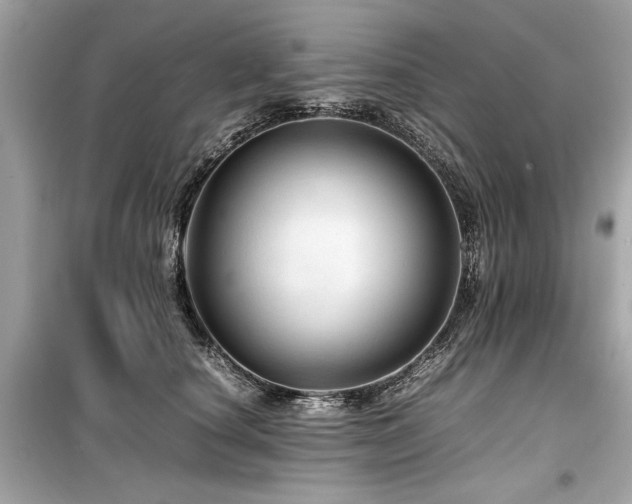 X0000099530660200805161213