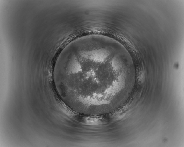 X0000099530661200805161213