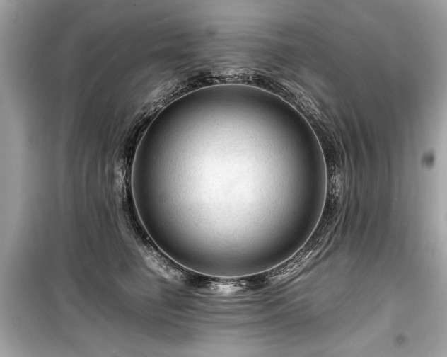 X0000099530662200805161213