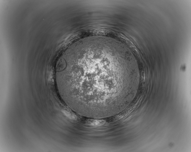 X0000099530663200805161213