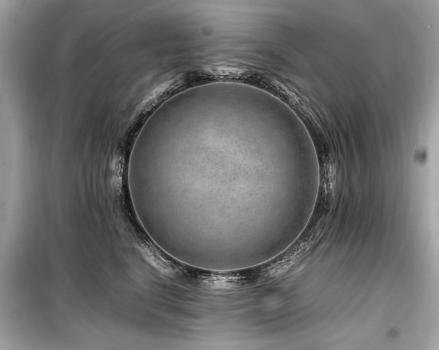 X0000099530664200805161213
