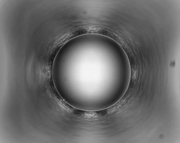 X0000099530666200805161213