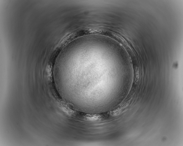 X0000099530667200805161213