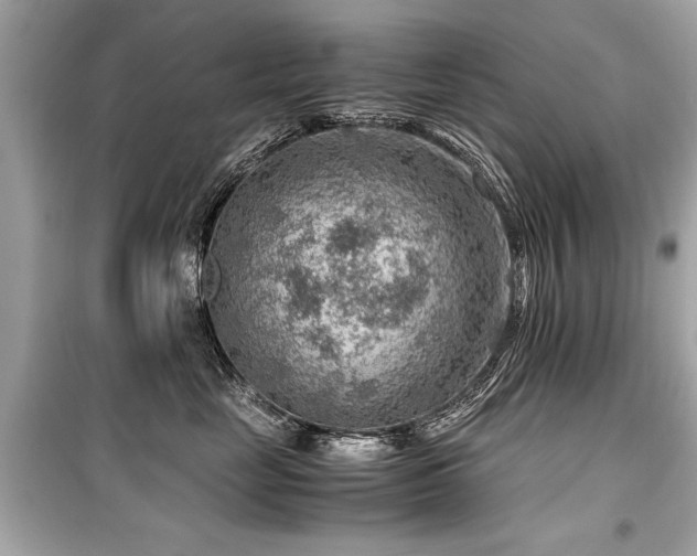 X0000099530669200805161213