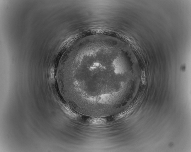 X0000099530670200805161213