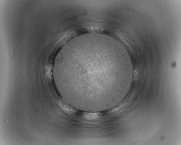 X0000099530671200805161213