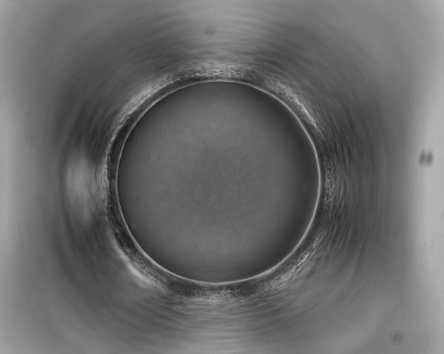X0000099530674200805161212