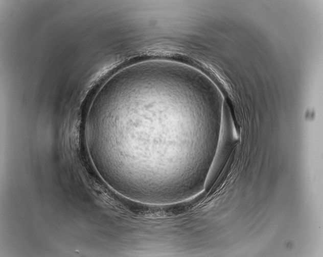 X0000099530675200805161212