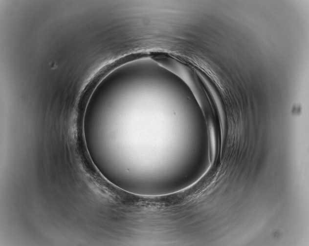X0000099530676200805161212