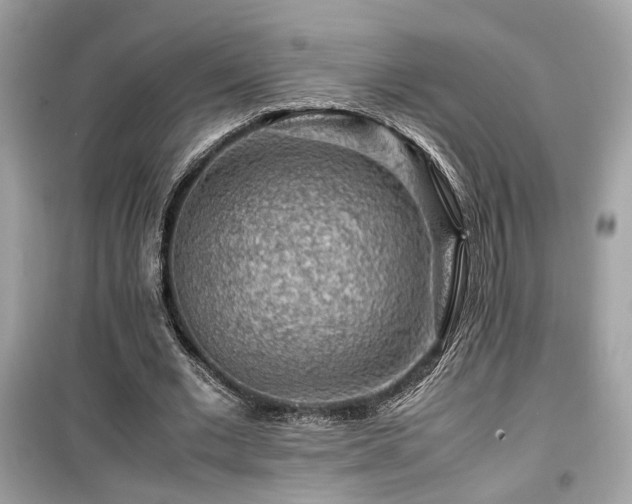 X0000099530677200805161212