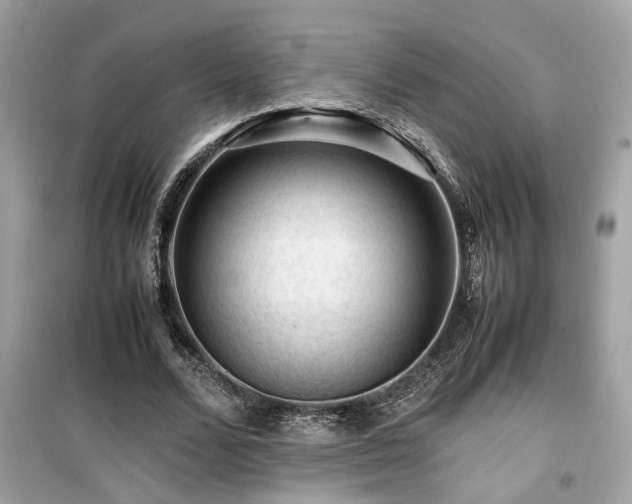 X0000099530680200805161212