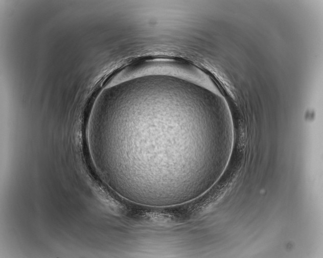 X0000099530681200805161212