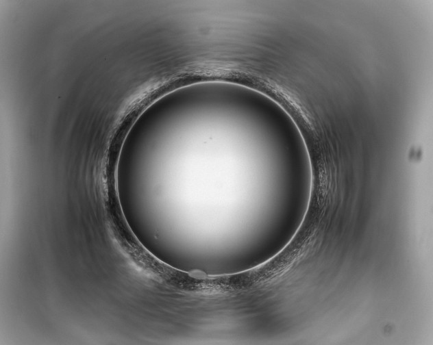 X0000099530682200805161212